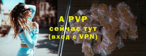круглые Абаза