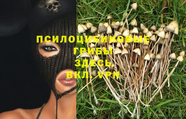прущие крисы Алзамай