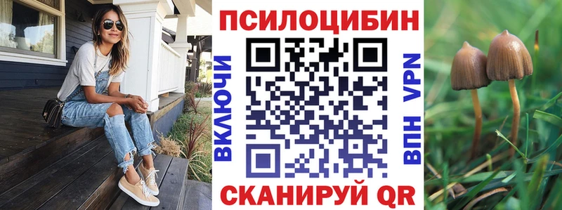 Псилоцибиновые грибы Psilocybe  мориарти какой сайт  Элиста 